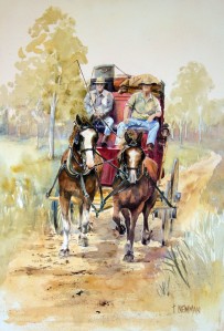 John's coach and horses at Amamoor
